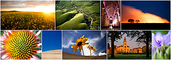 Collage of gallery images