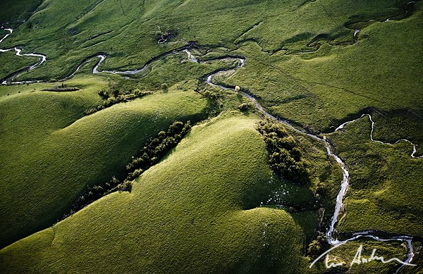 Featured Photo: Above The  Prairie