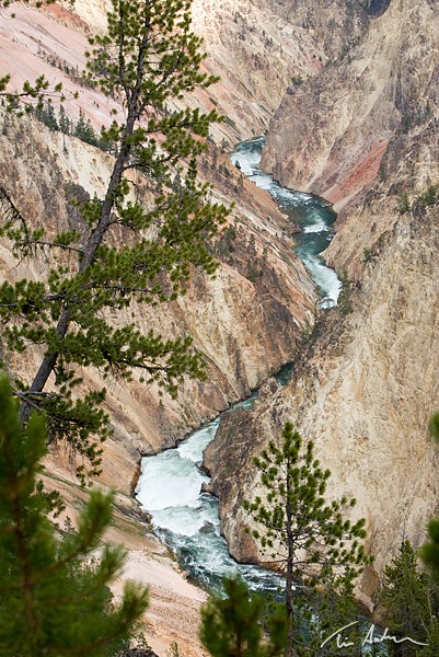 Featured Photo: Yellowstone River