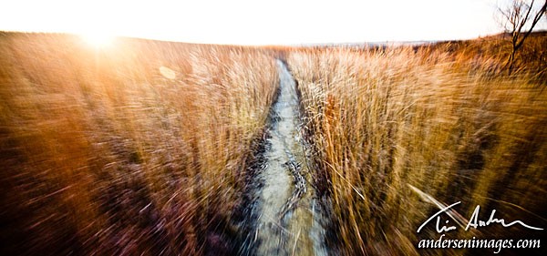 Featured Photo: Walkin' the Konza