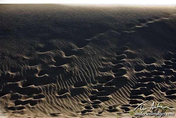 Featured Photo: Visitors