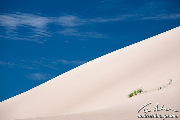 Featured Photo: Dune and Sky