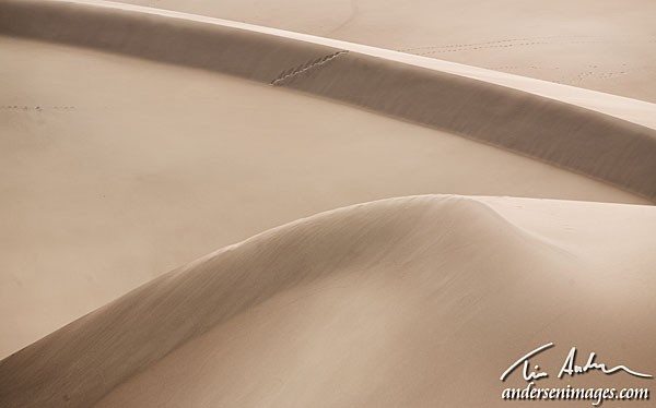 Featured Photo: Dune Lines