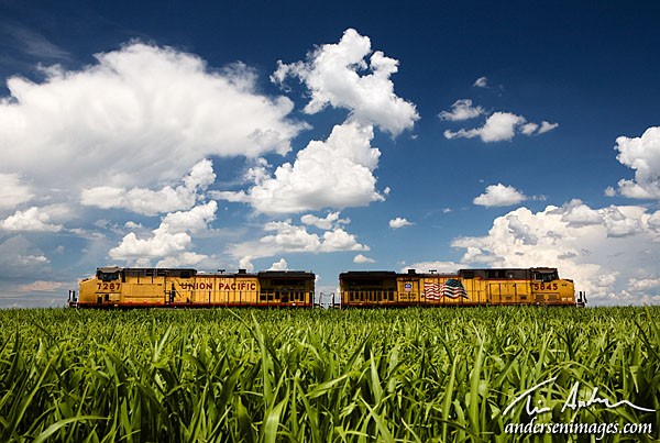 Featured Photo: Tug of War