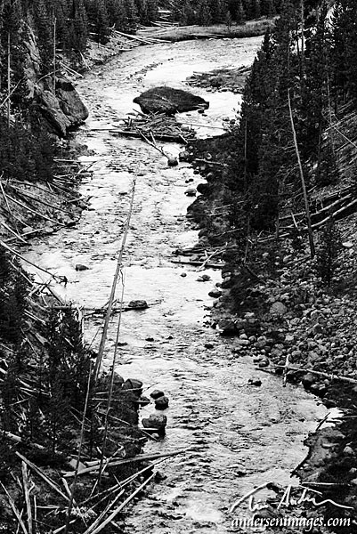Featured Photo: Lewis River