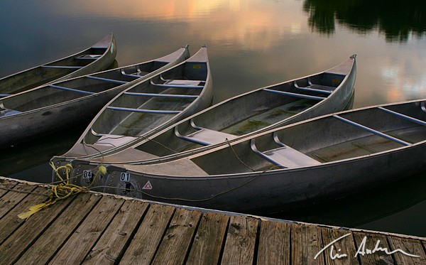 Featured Photo: Docked Canoes